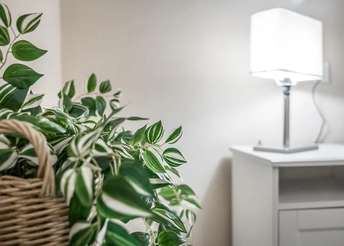 Apartamento Broccaindosso Wood 5* Bolonia