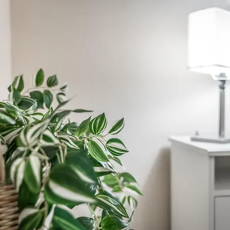 Apartmán Broccaindosso Wood 5* Boloňa